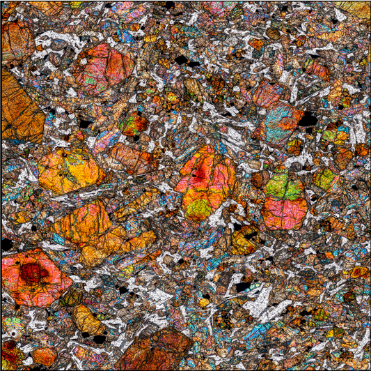 NEIL BUCKLAND COSMIC MICROSCAPE — THE MARTIAN METEORITE NWA 13885