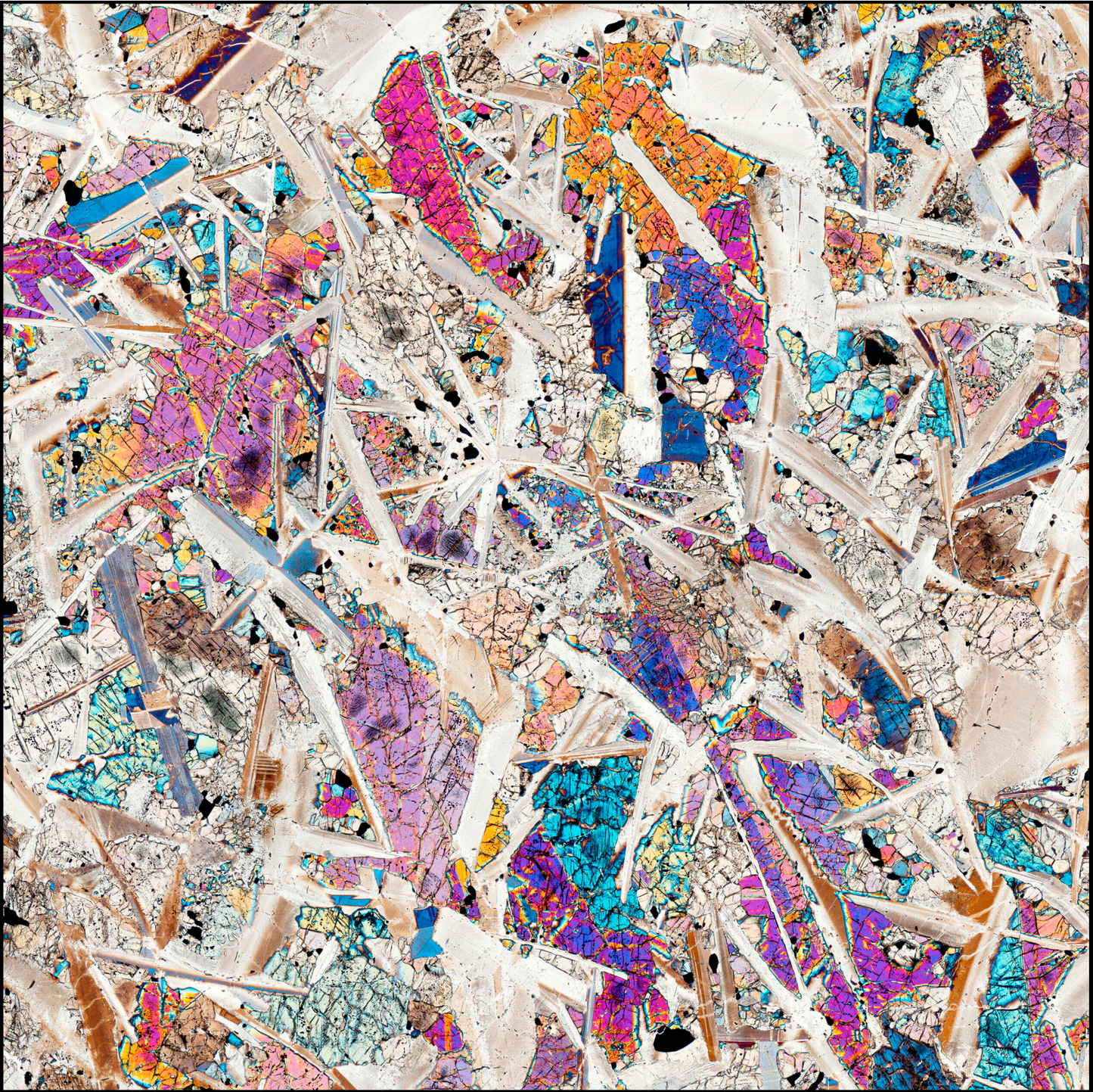 AOUINET LEGRAA — A NEIL BUCKLAND COSMIC MICROSCAPE